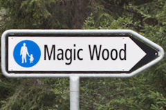 Stráník brothers, Swiss autumn bouldering