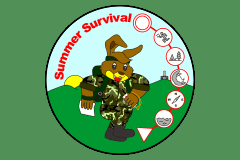 Summer Survival 2015