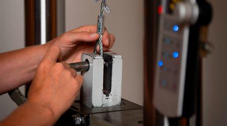 Hanka, Tomáš, Radek